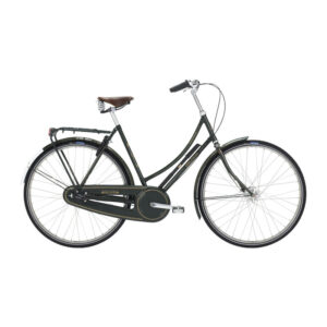 Raleigh Tourist De Luxe Dame 20in green 3g