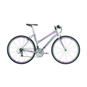 Centurion Basic Extreme Lady 20,5in Matt silver 18 speed v-bremse