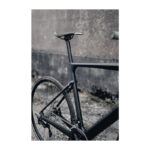 Avenue Empire Carbon Gent. 11 speed Alfine Disc. Belt drive. 58cm Mat anthraci