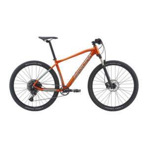 Principia Evoke A8.9 Air 29in SX Eagle 1x12sp hydr. disc 17in/432mm orange m. gr