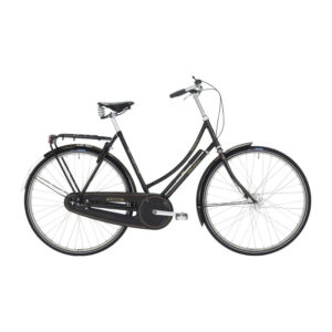 Raleigh Tourist de Luxe Lady 20in Nexus 7g Coaster Black