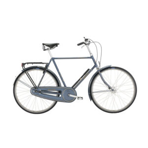 Raleigh Tourist de Luxe Men 22in SA 5g Coaster Metallic Blue Grey