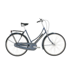 Raleigh Tourist de Luxe Lady(UDSOLGT) 20in Nexus 7g Coaster Metallic Blue Grey