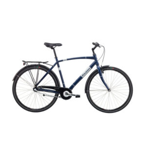 Raleigh Sidor Men 56 cm Nexus 3g Coaster Blue