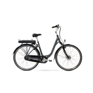 Raleigh Superbe Comfort 700C Lady 50 cm Silver display N7g Coa Grey Uden Batteri