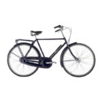 Raleigh Tourist de Luxe Hr 24in 7g Nexus fod kongeblå