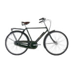 Raleigh Tourist de Luxe Hr 22in 3g Nexus fod mørkegrøn