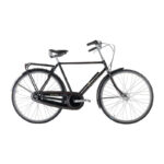 Raleigh Tourist de Luxe Hr 22in 3g Nexus fod blank sort