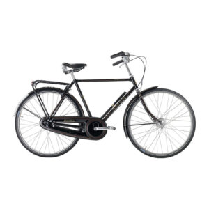 Raleigh Tourist de Luxe Hr 22in 3g Nexus fod blank sort