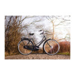 Raleigh Tourist de Luxe Da 20in 7g Nexus fod blank sort