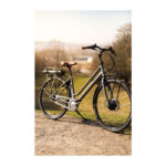 Raleigh Sussex E1 Da 48cm 7g Nexus fod mat sort