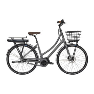 Raleigh Sussex E2 Da 54cm 7g Nexus fod mat grå