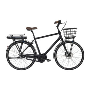 Raleigh Sussex E2 Hr 53cm 7g Nexus fod mat sort