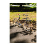 Raleigh Yate Cargo Hr 56cm 3g Nexus fod mat sort