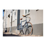 Raleigh Kent Hr 56cm 7g Nexus fod mat blå