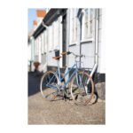Raleigh Yate Cargo Da 56cm 7g Nexus fod mat brun