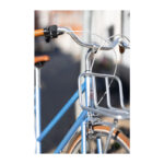 Raleigh Yate Cargo Da 56cm 7g Nexus fod mat brun