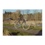 Bike by Gubi 7 Gent 56cm 7g Nexus fod sort