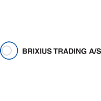 Brixius Logo