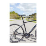 Nishiki Pro SLD Herre 24in 20g Shimano Tiagra hydr. disc sort