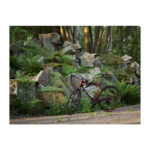 Nishiki All Road Herre 24in 20g Shimano Tiagra semi hydr. disc mørkegrøn