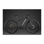 Nishiki Regal Herre 17in 12g Shimano Deore XT hydr. disc mat sort